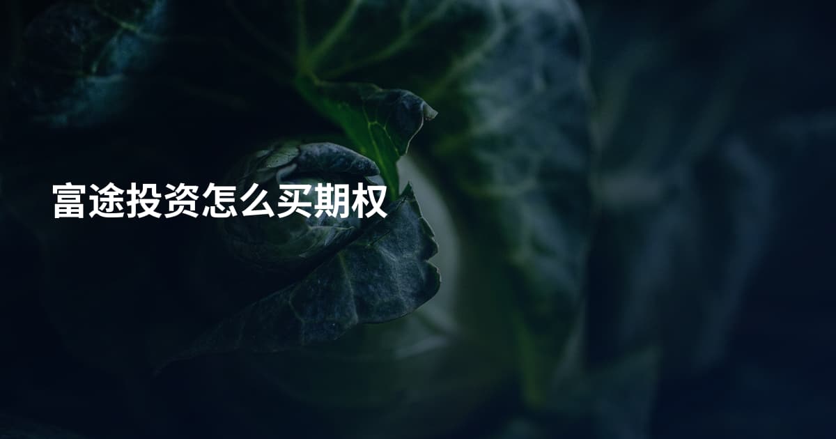 富途投资怎么买期权