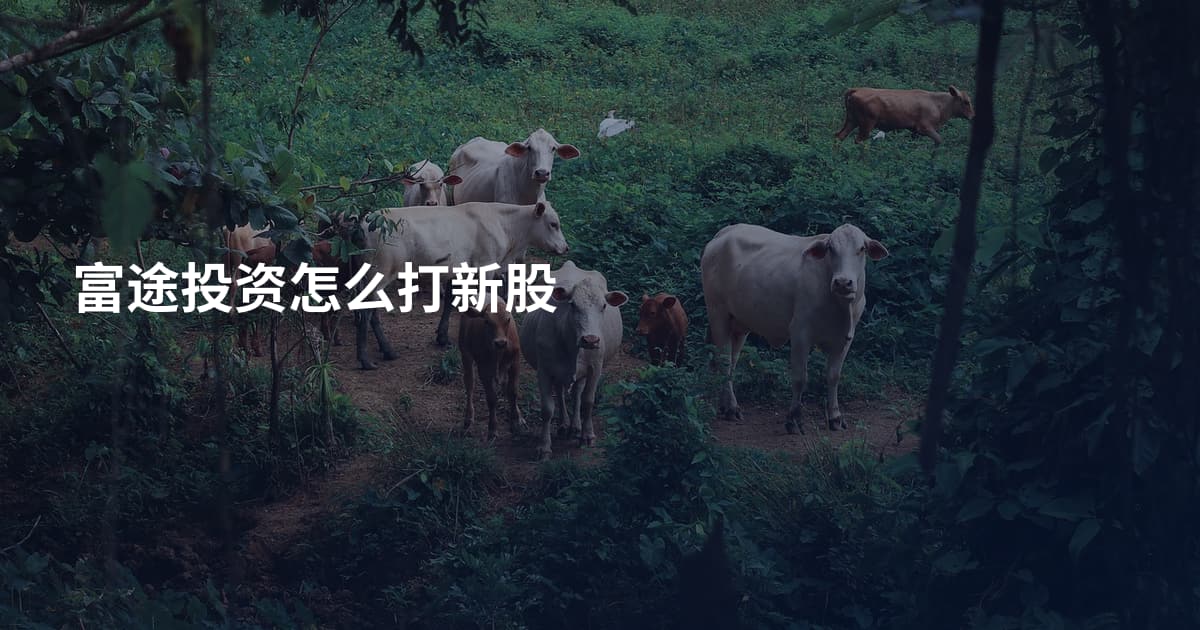 富途投资怎么打新股