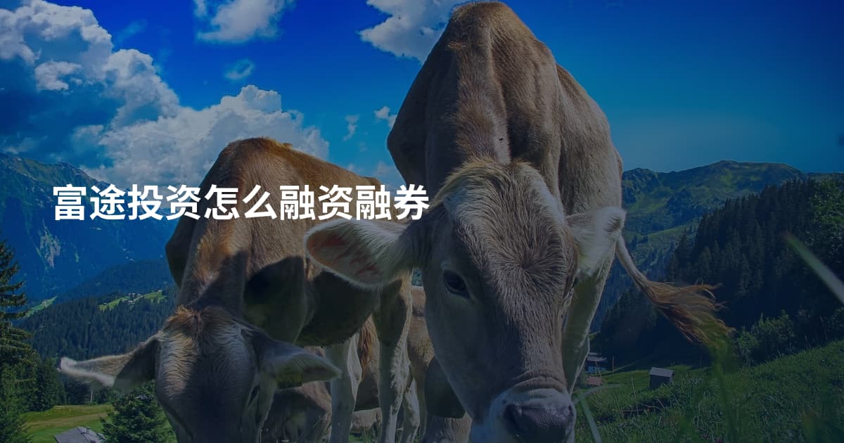 富途投资怎么融资融券