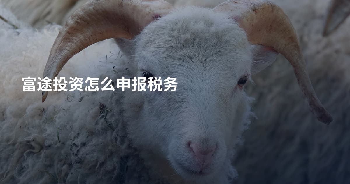 富途投资怎么申报税务