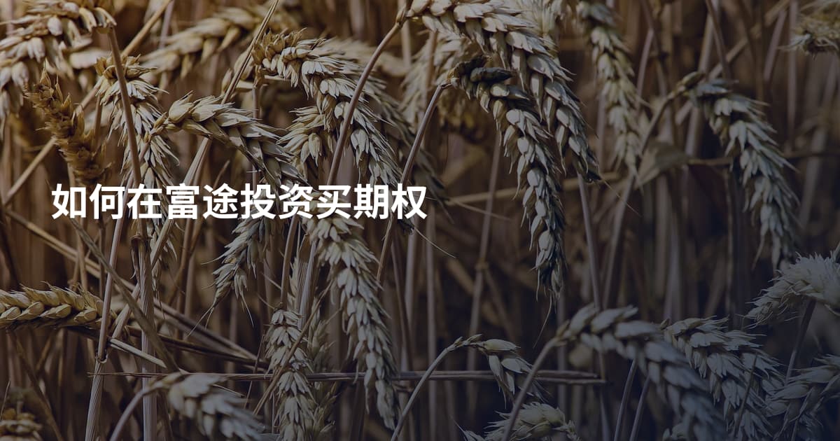 如何在富途投资买期权