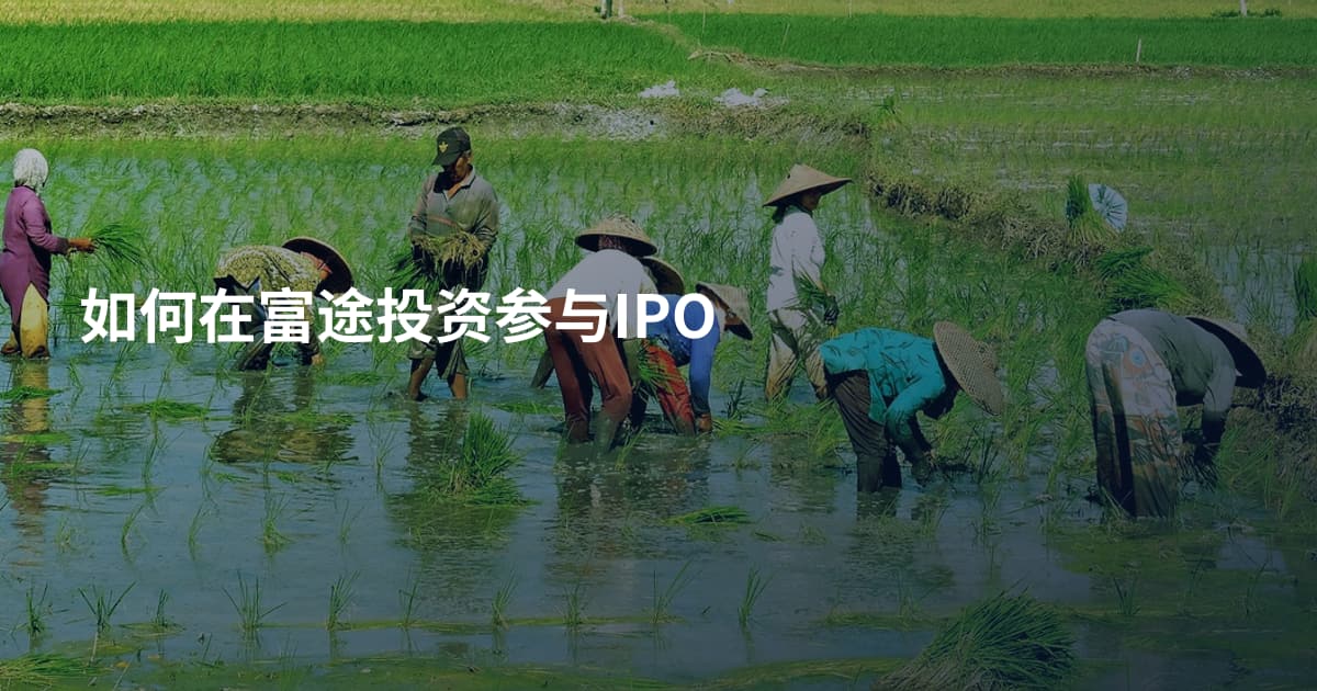 如何在富途投资参与IPO