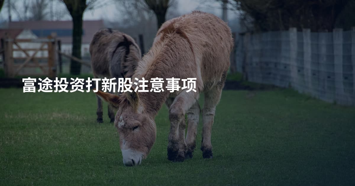 富途投资打新股注意事项