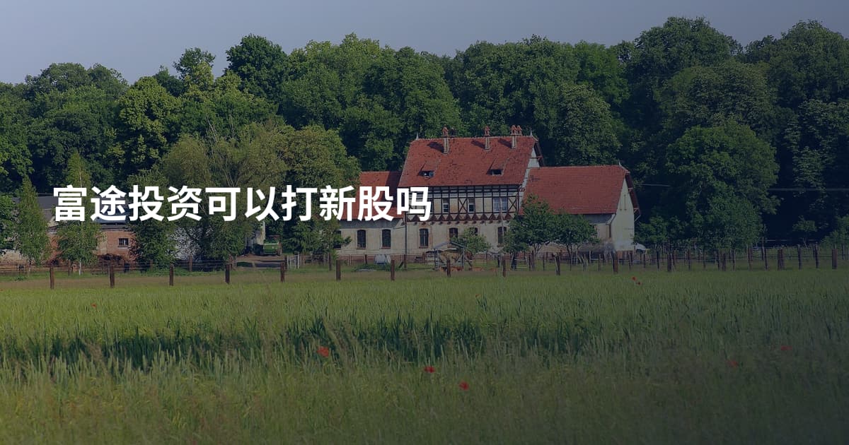 富途投资可以打新股吗