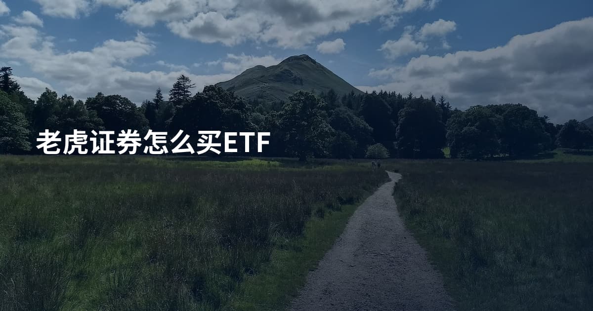 老虎证券怎么买ETF