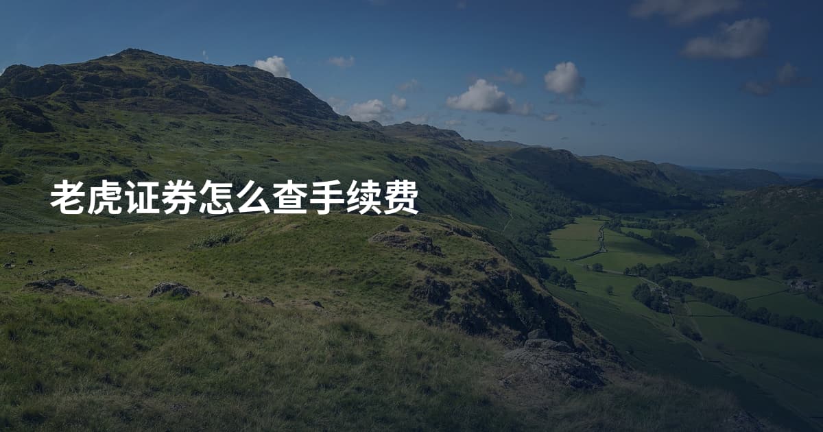 老虎证券怎么查手续费