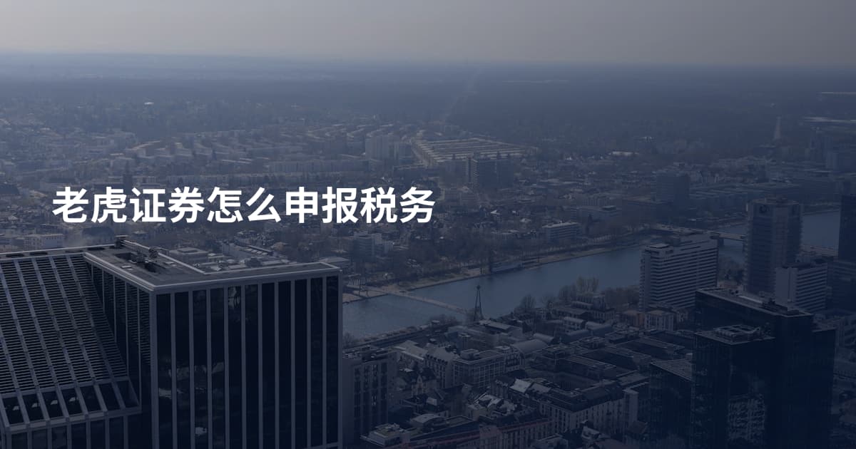 老虎证券怎么申报税务
