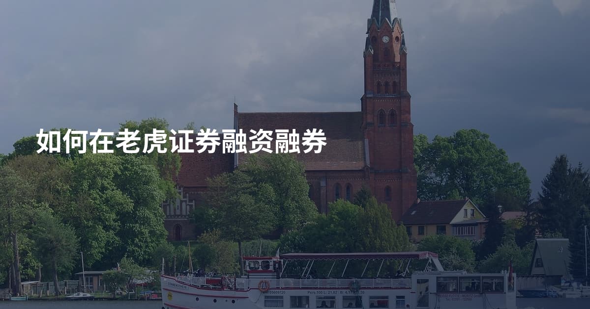 如何在老虎证券融资融券