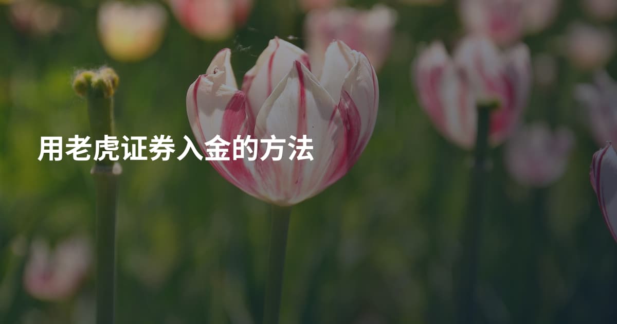 用老虎证券入金的方法