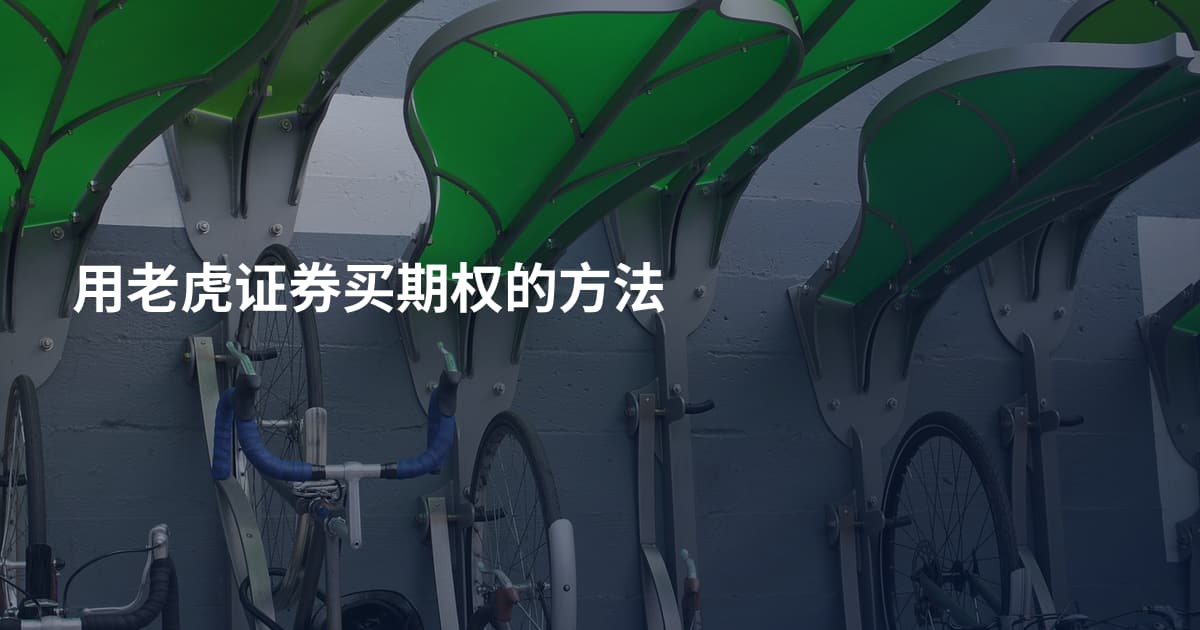 用老虎证券买期权的方法