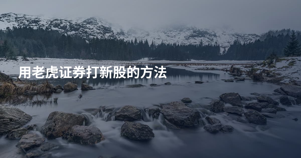 用老虎证券打新股的方法