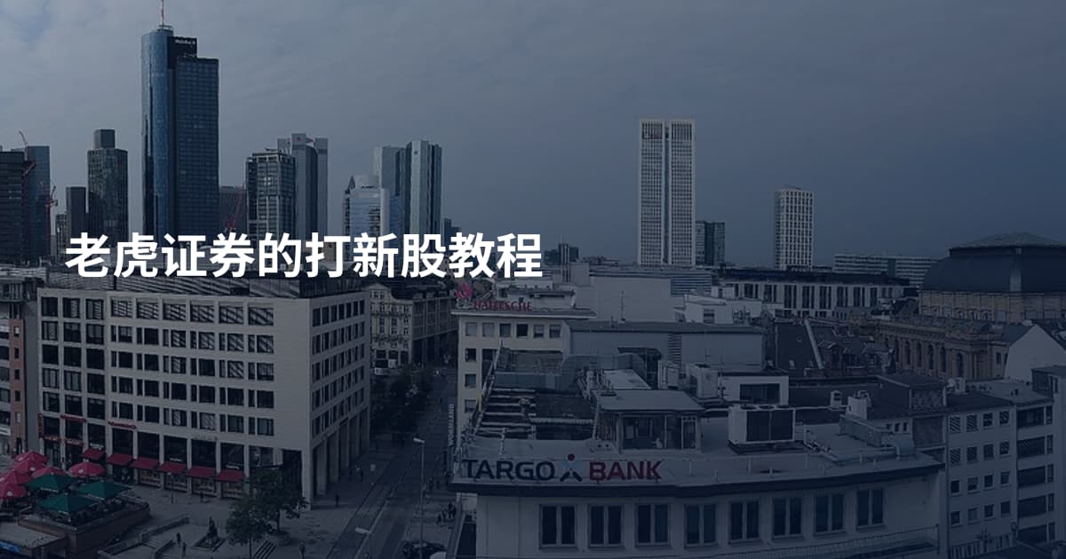 老虎证券的打新股教程