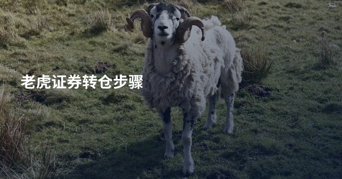 老虎证券转仓步骤