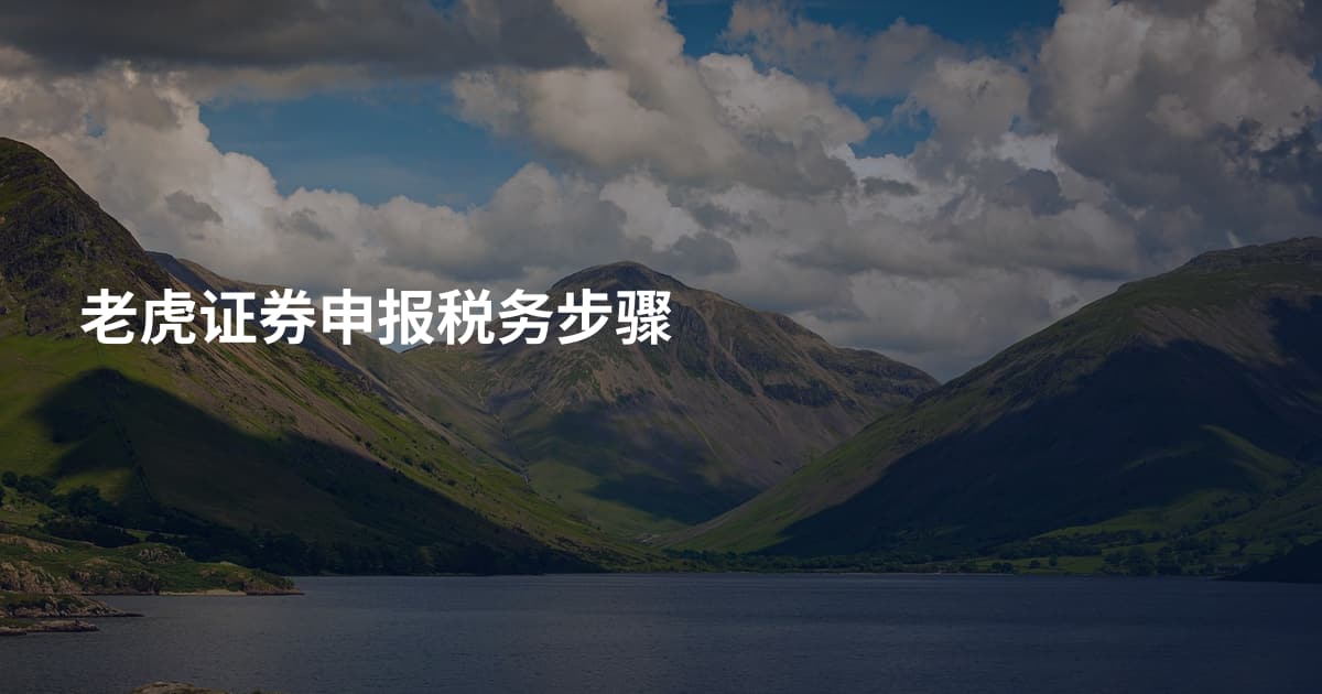 老虎证券申报税务步骤