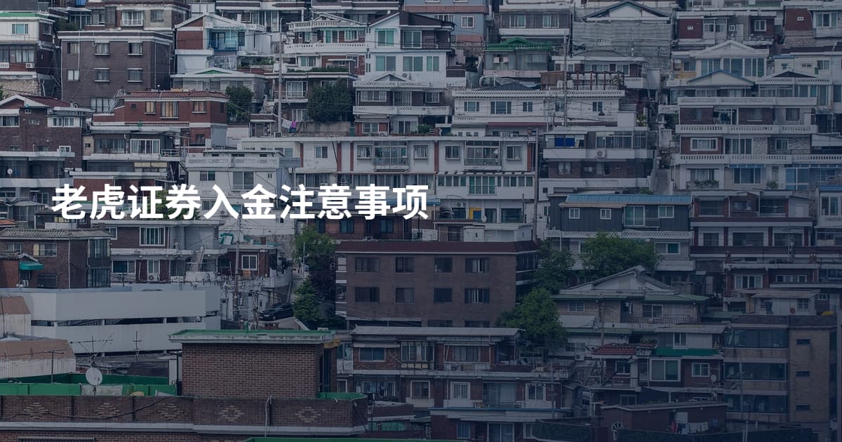 老虎证券入金注意事项
