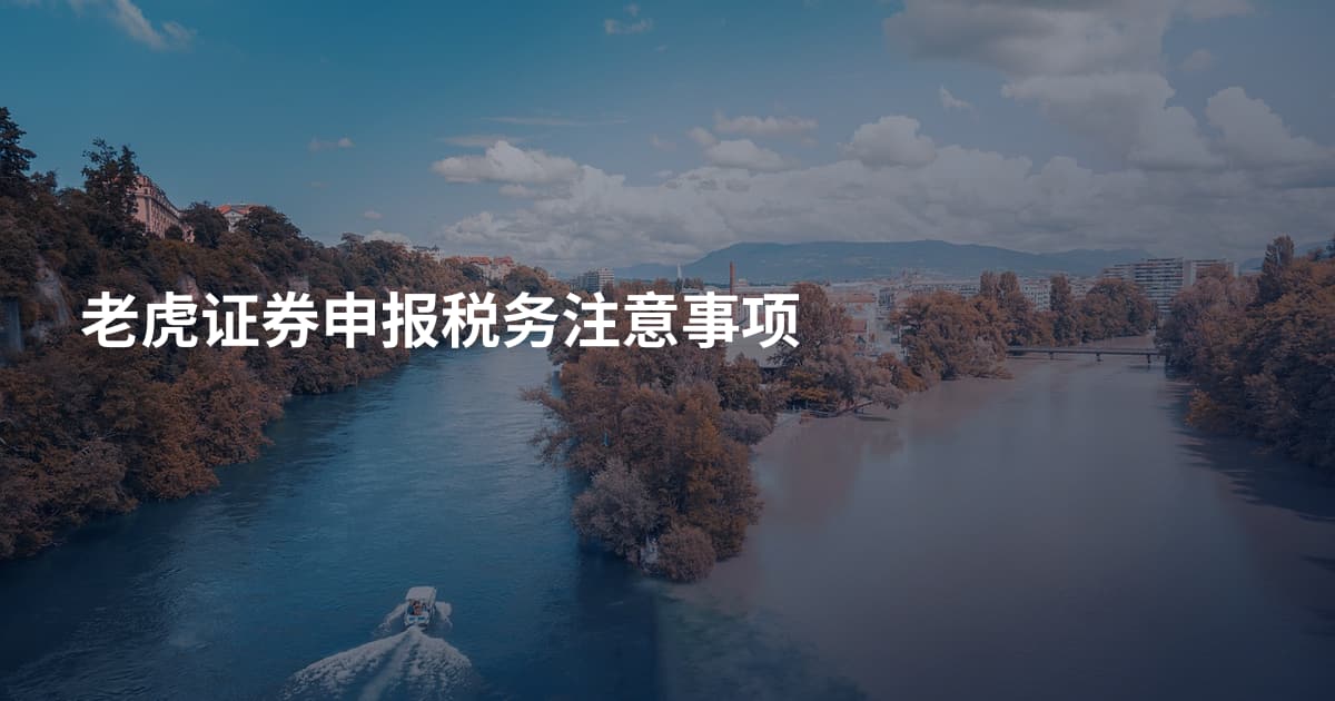 老虎证券申报税务注意事项