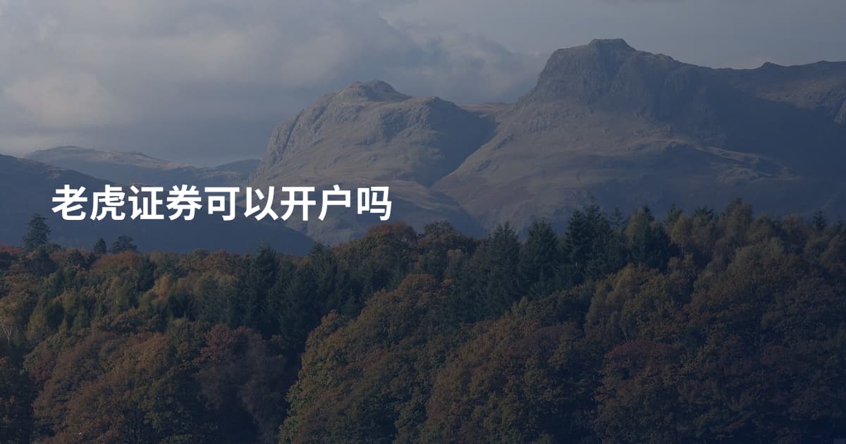 老虎证券可以开户吗