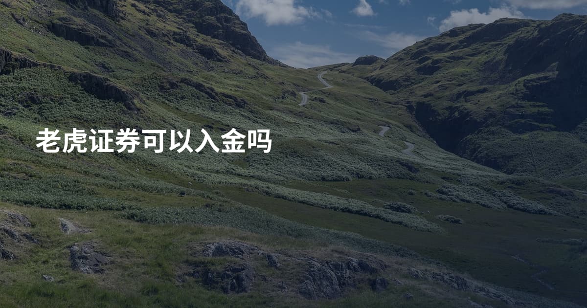 老虎证券可以入金吗