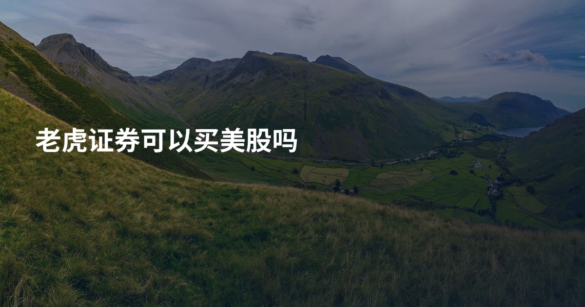 老虎证券可以买美股吗