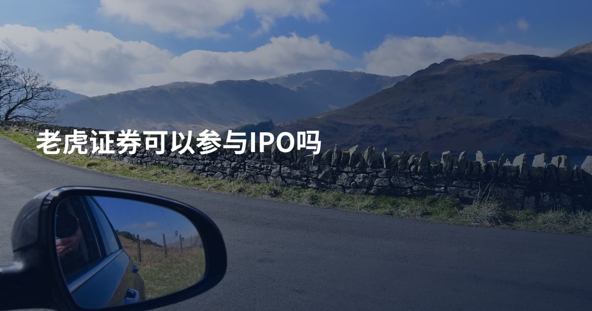 老虎证券可以参与IPO吗