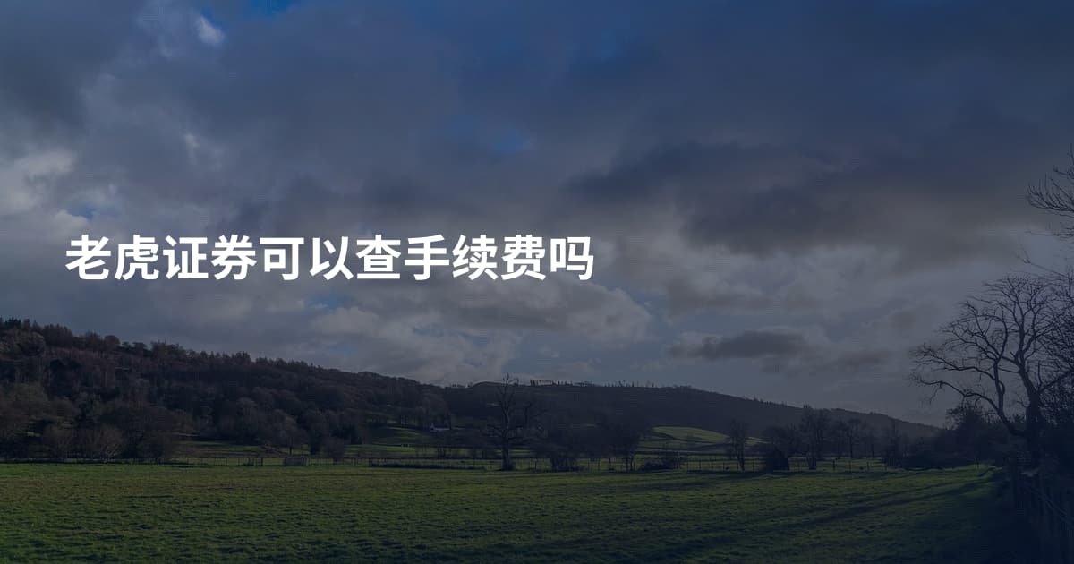 老虎证券可以查手续费吗