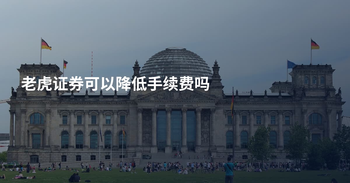 老虎证券可以降低手续费吗