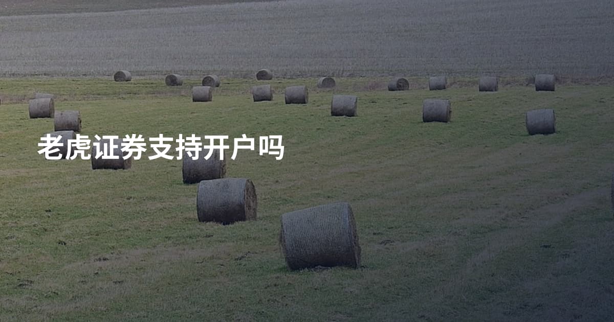 老虎证券支持开户吗