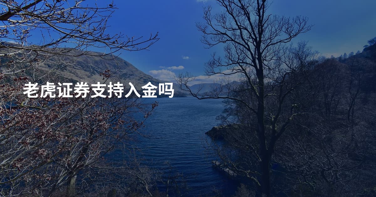 老虎证券支持入金吗