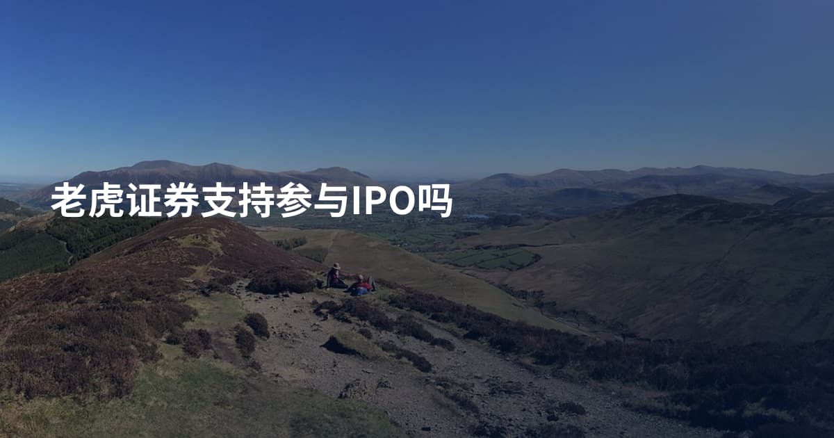 老虎证券支持参与IPO吗