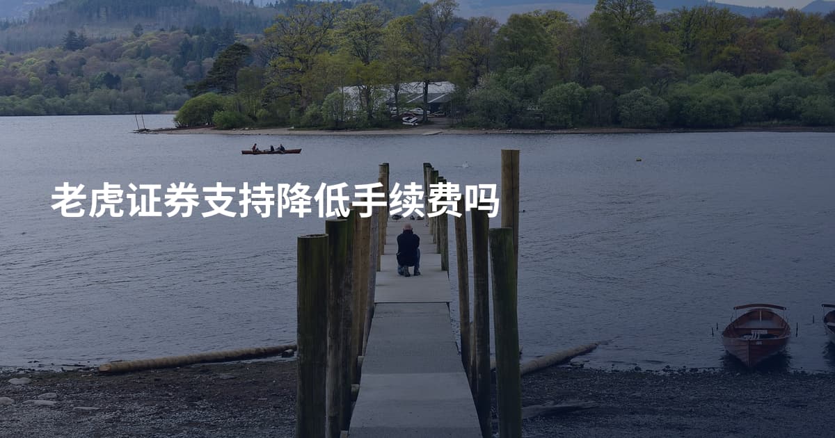 老虎证券支持降低手续费吗