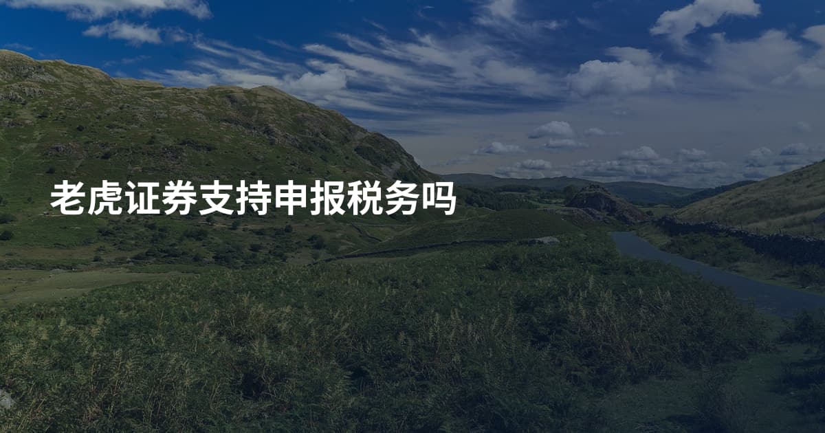 老虎证券支持申报税务吗