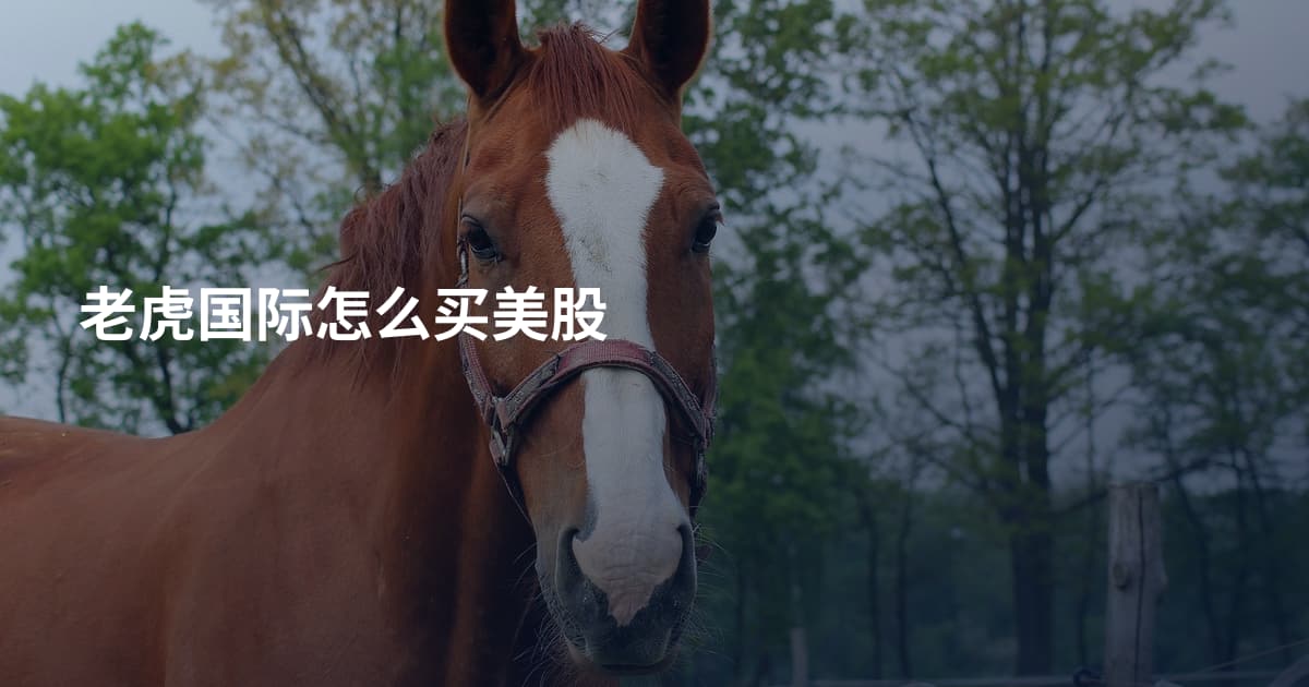 老虎国际怎么买美股