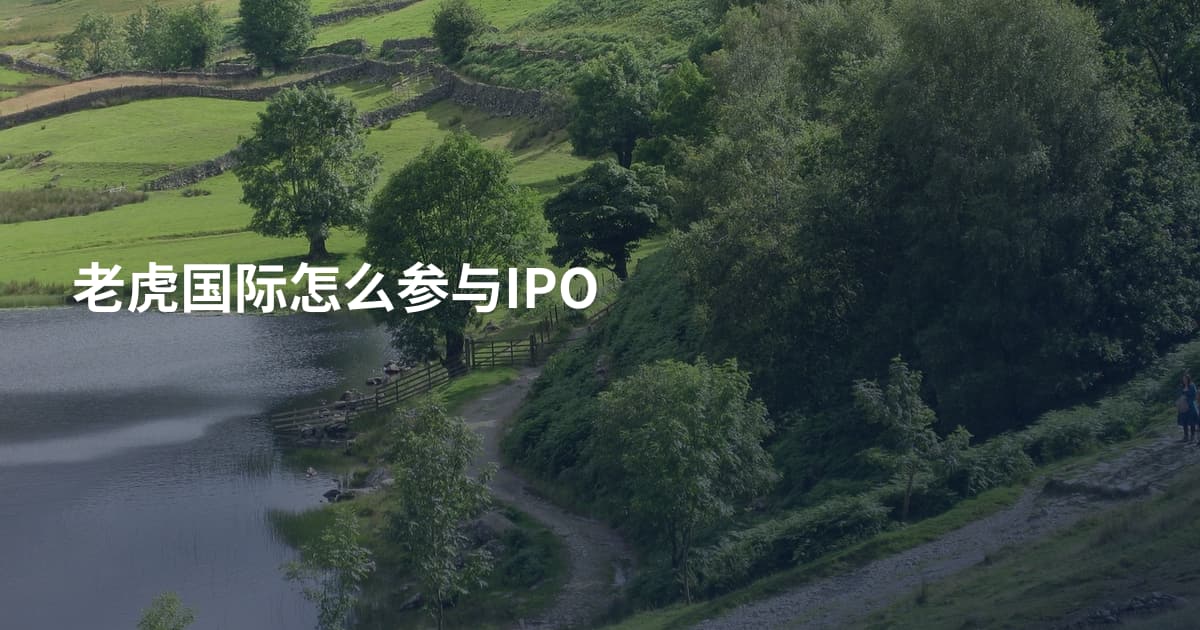 老虎国际怎么参与IPO