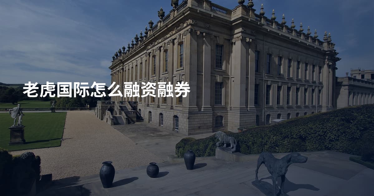 老虎国际怎么融资融券