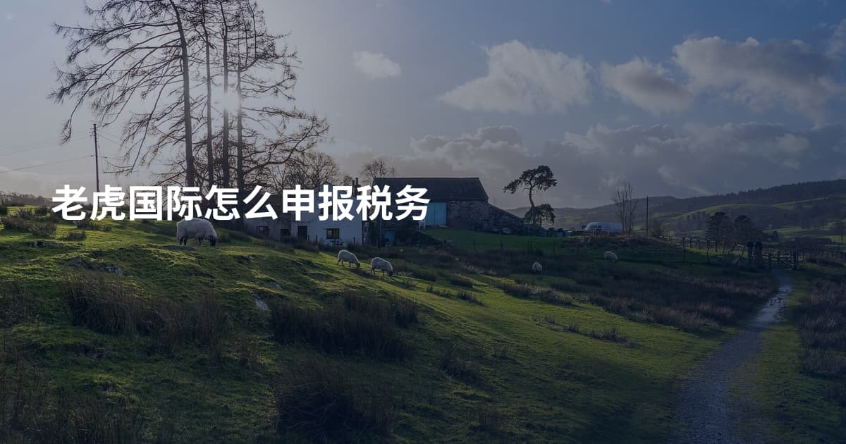 老虎国际怎么申报税务