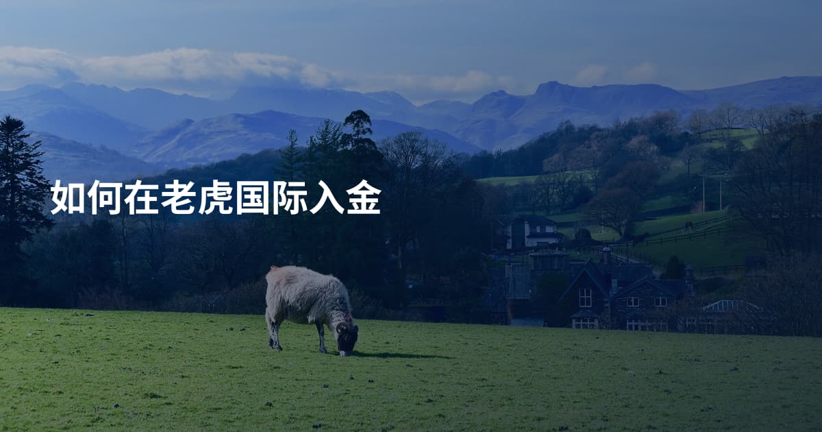如何在老虎国际入金