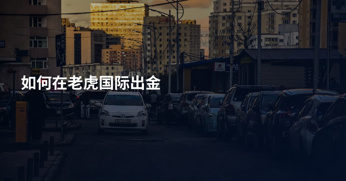 如何在老虎国际出金
