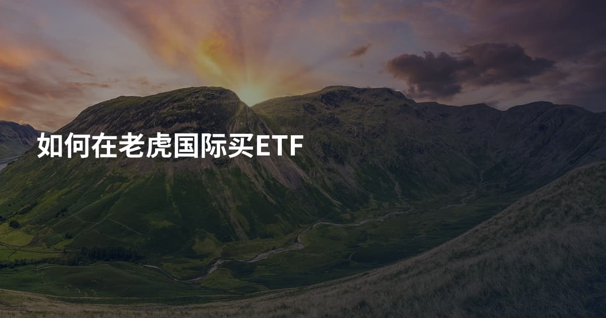 如何在老虎国际买ETF