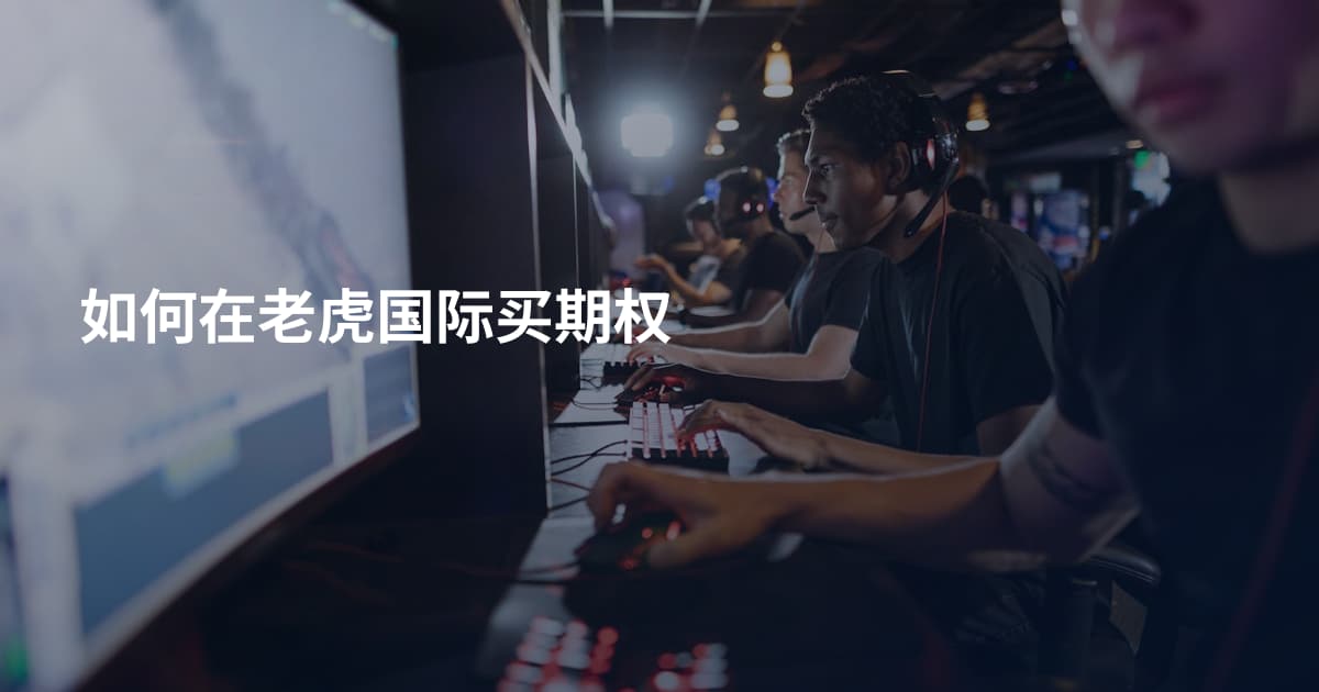 如何在老虎国际买期权