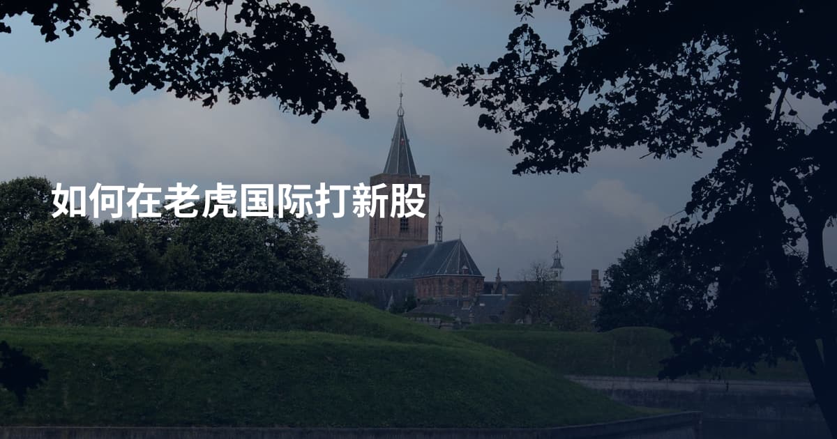 如何在老虎国际打新股