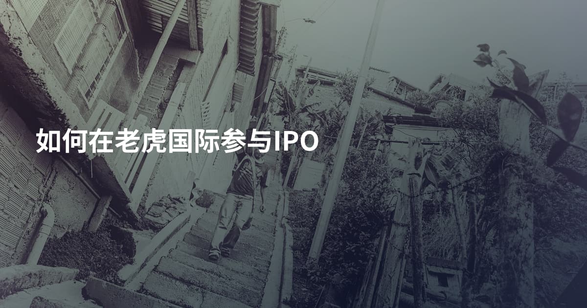 如何在老虎国际参与IPO