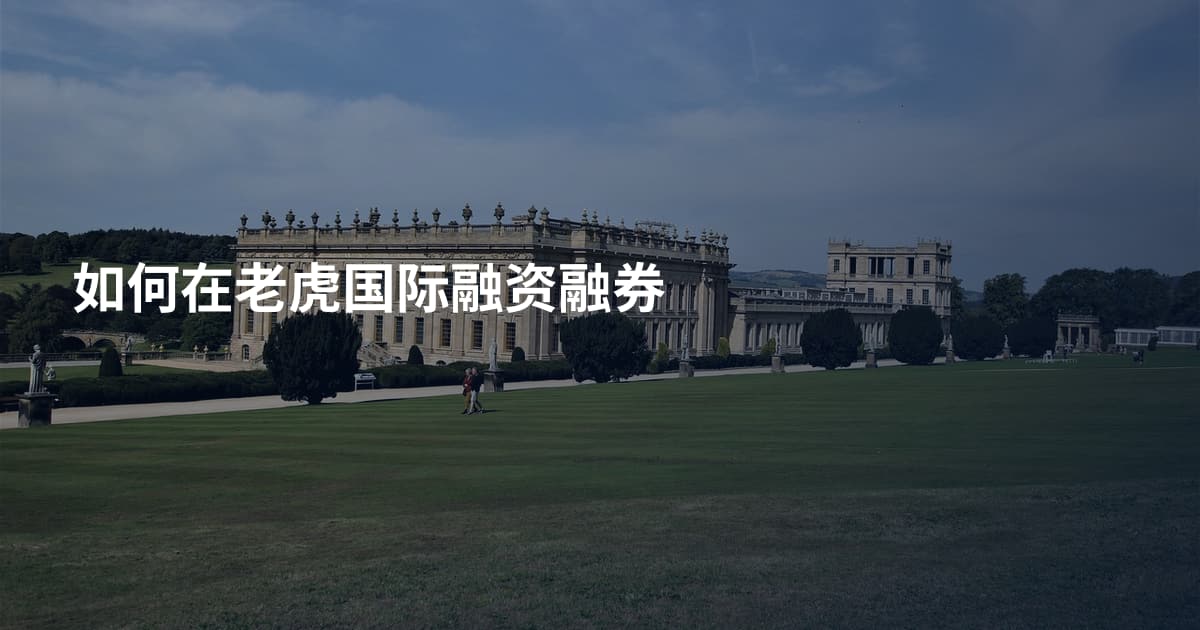 如何在老虎国际融资融券