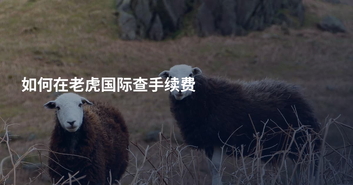 如何在老虎国际查手续费