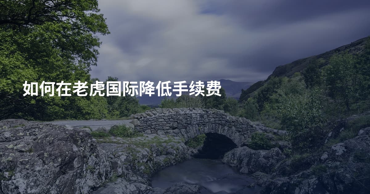 如何在老虎国际降低手续费