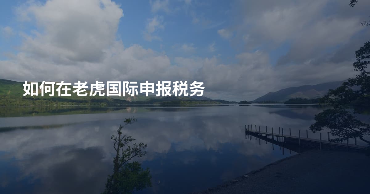 如何在老虎国际申报税务