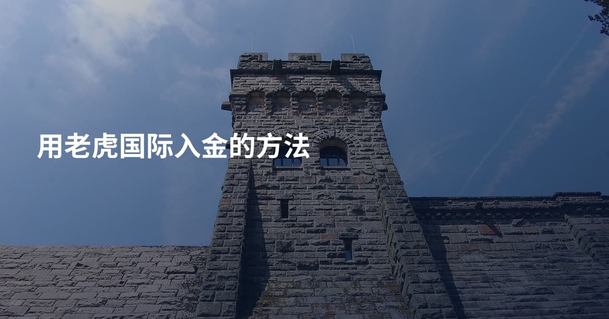 用老虎国际入金的方法