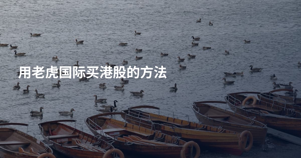 用老虎国际买港股的方法