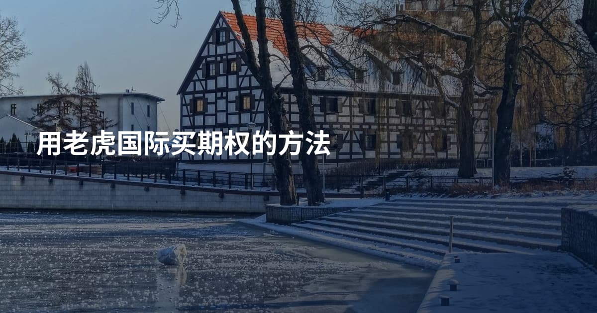用老虎国际买期权的方法