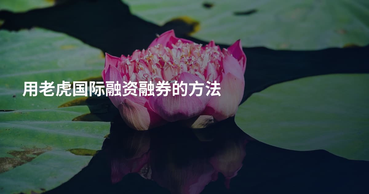 用老虎国际融资融券的方法