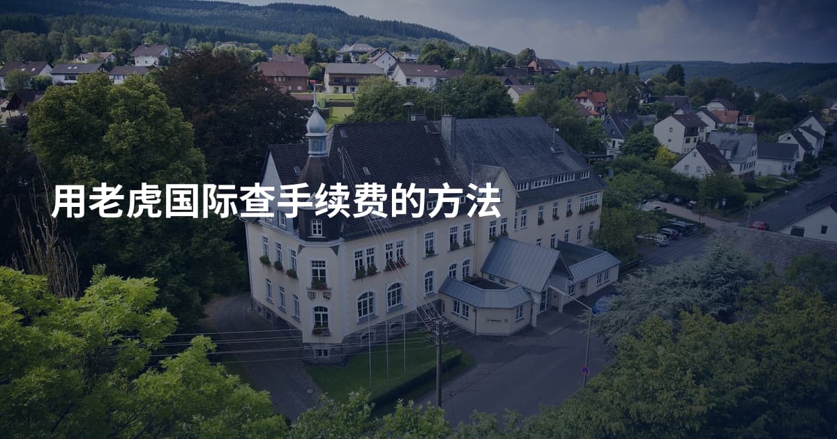 用老虎国际查手续费的方法
